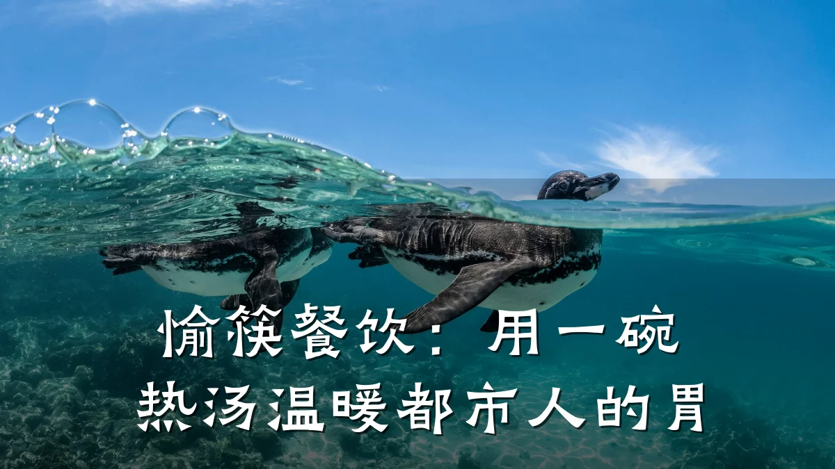 愉筷餐饮：用一碗热汤温暖都市人的胃