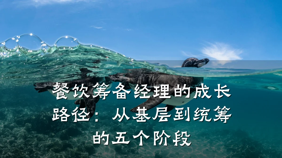 餐饮筹备经理的成长路径：从基层到统筹的五个阶段