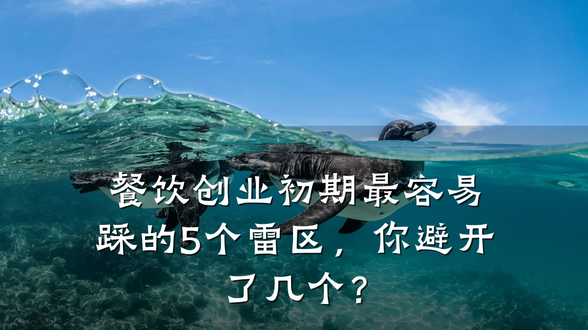餐饮创业初期最容易踩的5个雷区，你避开了几个？
