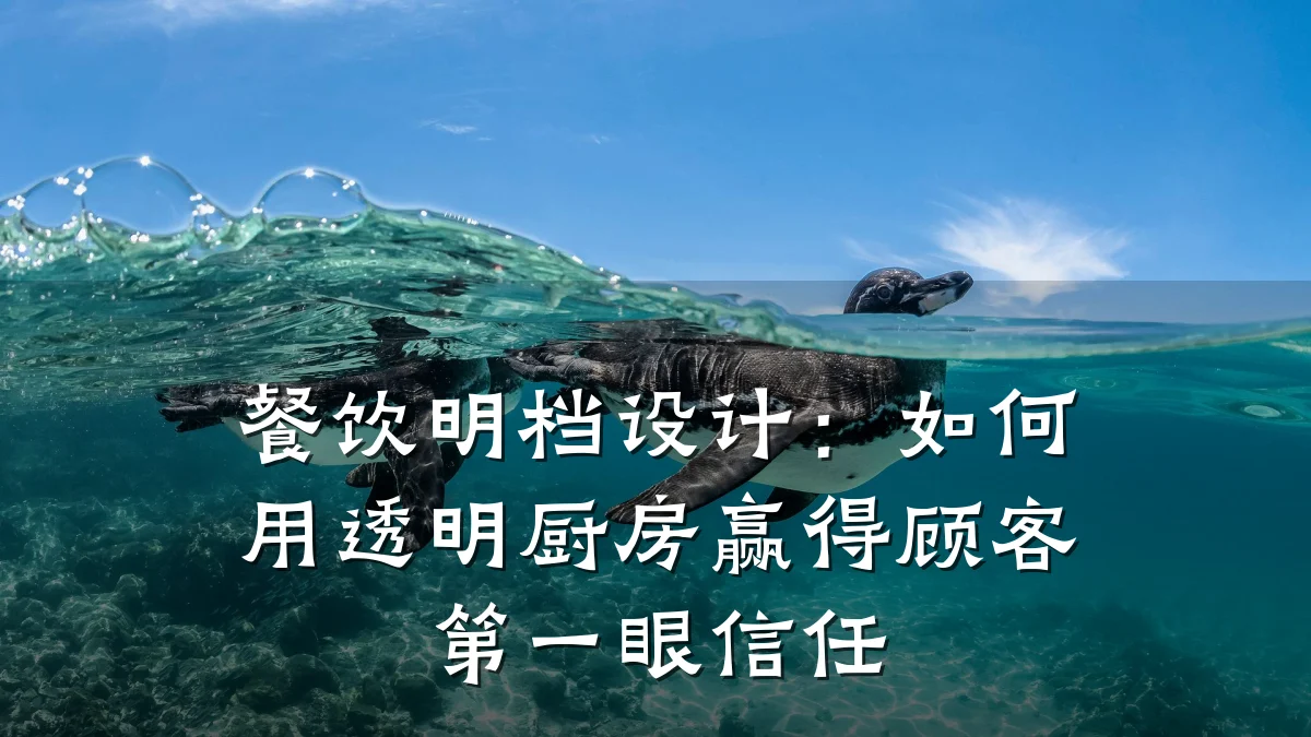 餐饮明档设计:如何用透明厨房赢得顾客第一眼信任