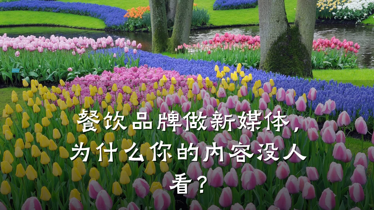餐饮品牌做新媒体，为什么你的内容没人看？