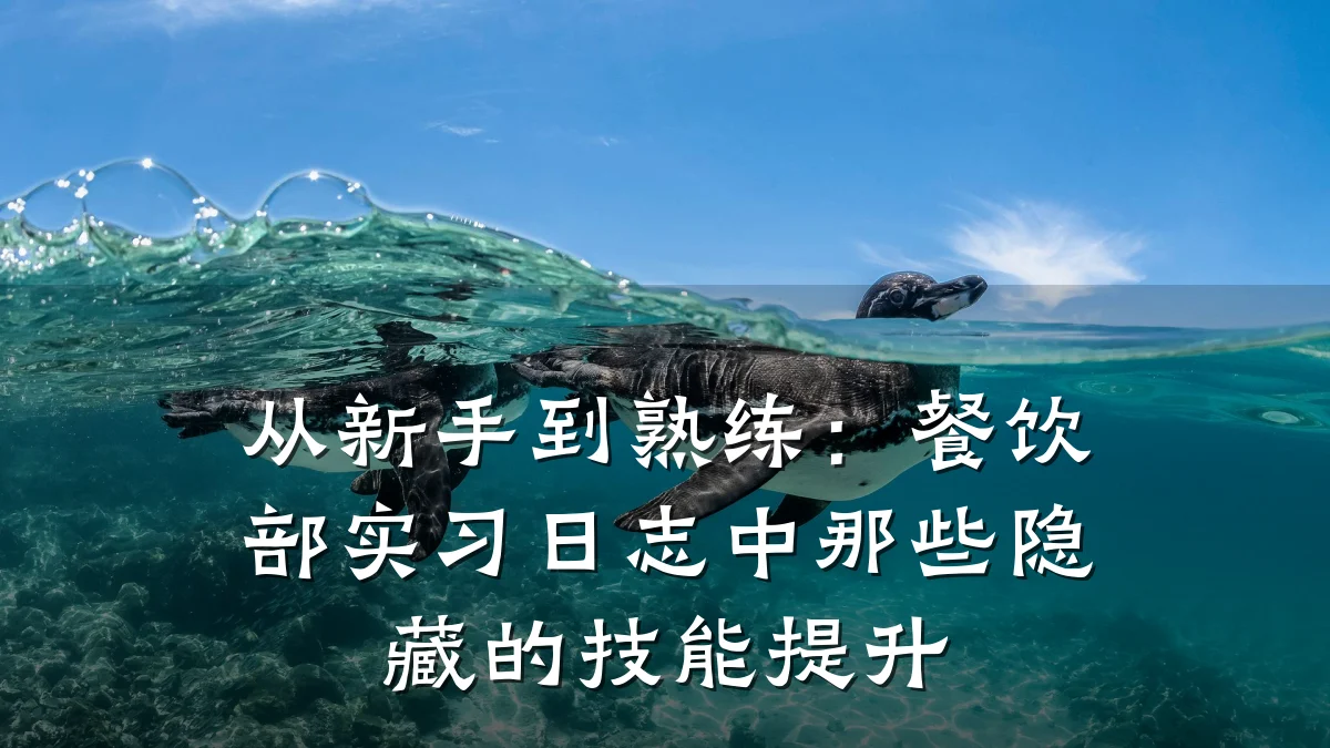 从新手到熟练：餐饮部实习日志中那些隐藏的技能提升