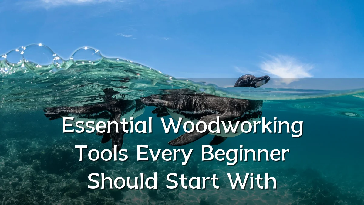 Essential Woodworking Tools Every Beginner Should Start With