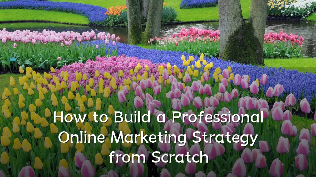 How to Build a Professional Online Marketing Strategy from Scratch
