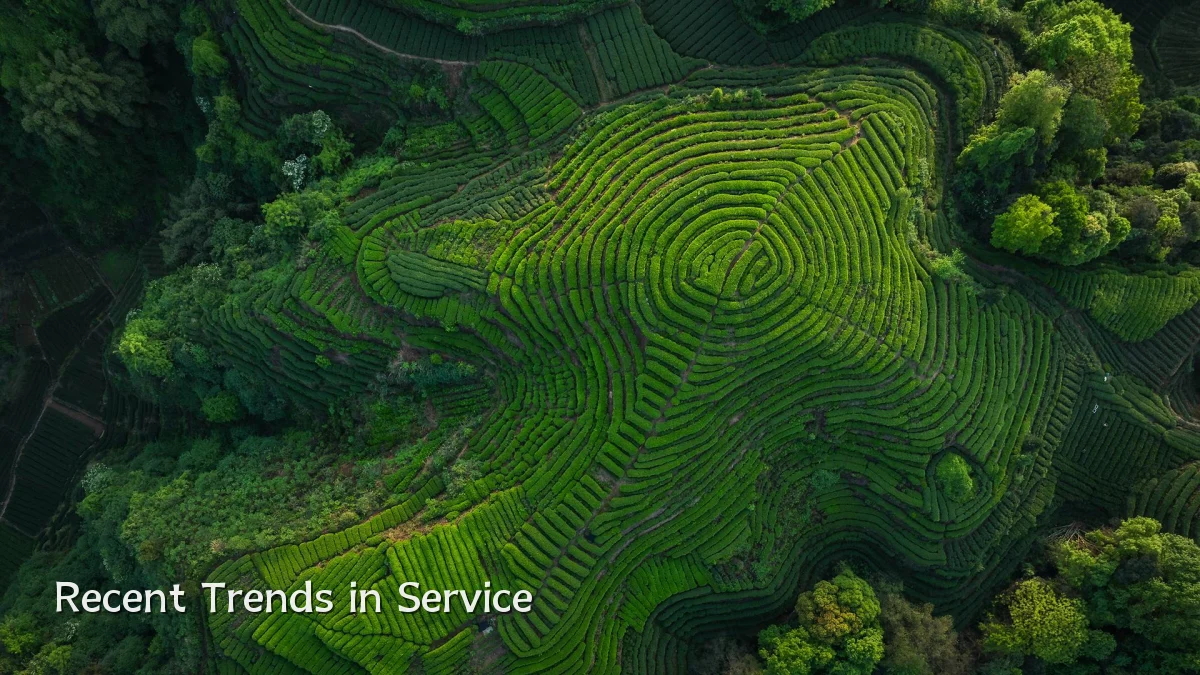 Recent Trends in Service