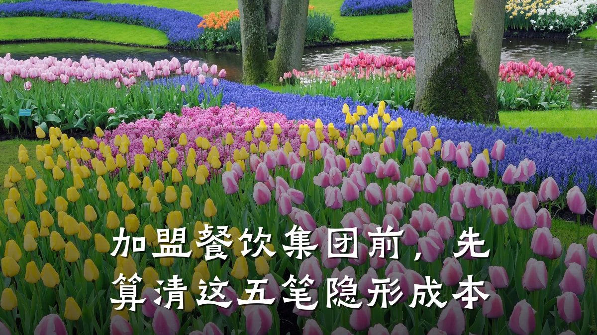 加盟餐饮集团前，先算清这五笔隐形成本