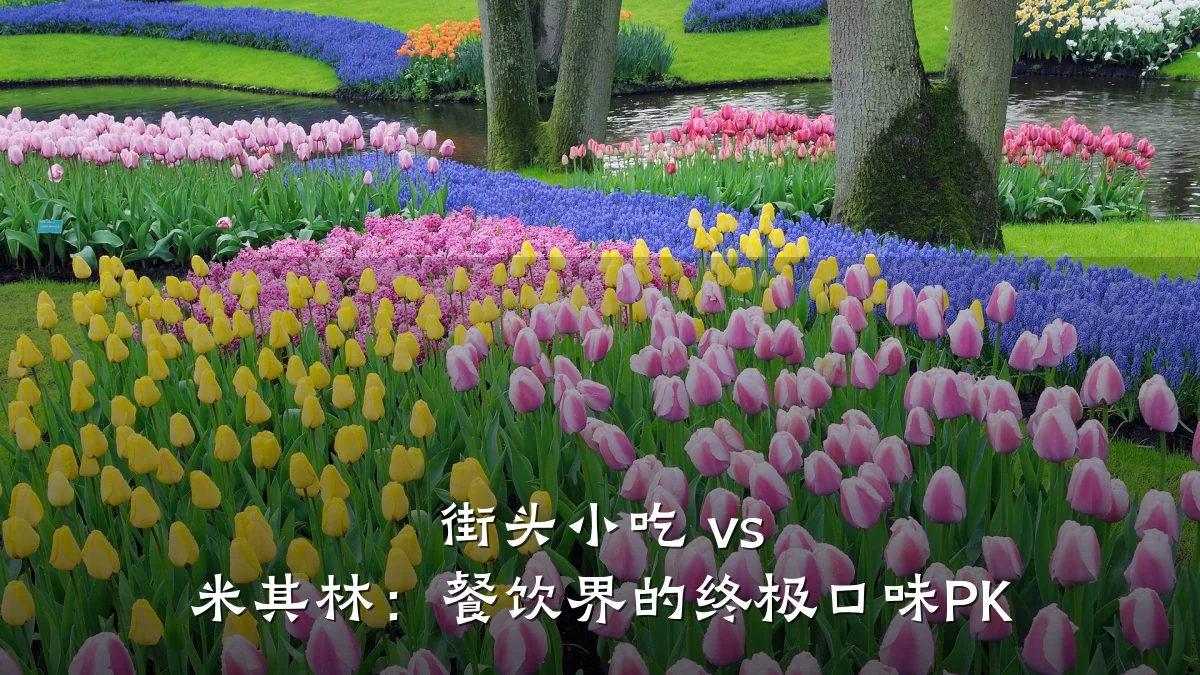街头小吃 vs 米其林:餐饮界的终极口味PK