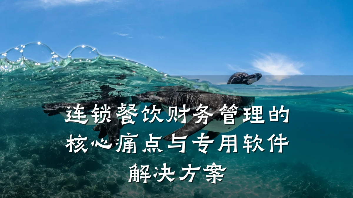 连锁餐饮财务管理的核心痛点与专用软件解决方案