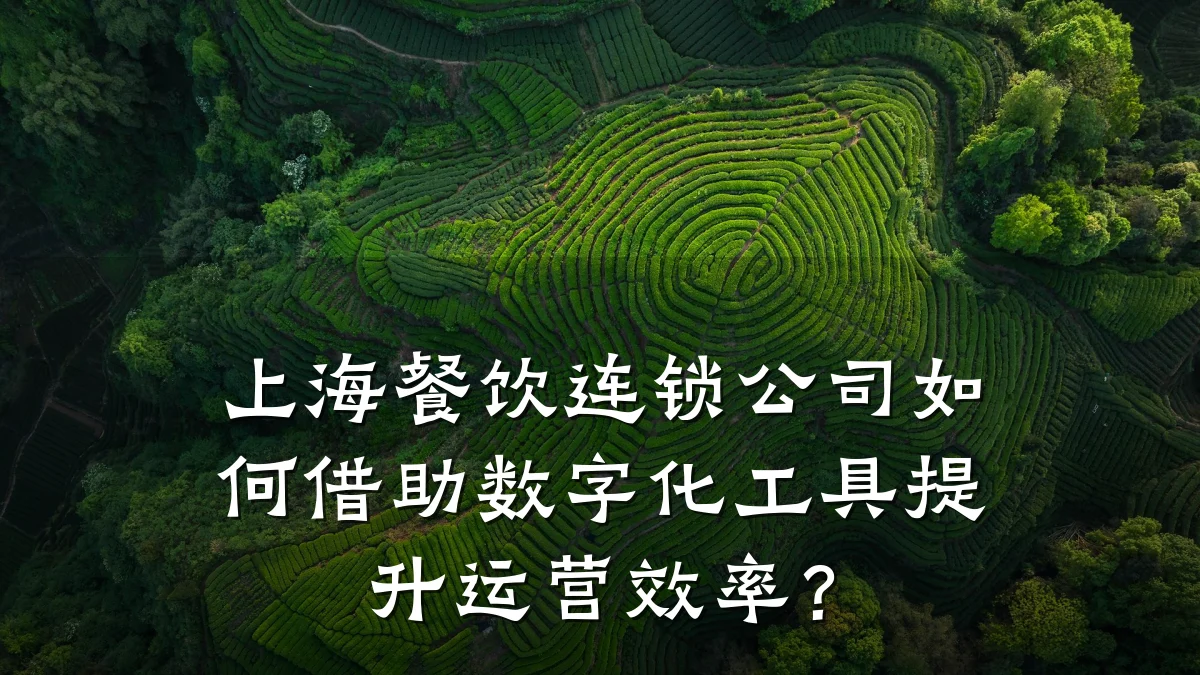 上海餐饮连锁公司如何借助数字化工具提升运营效率？
