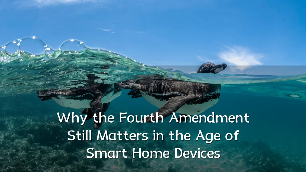 Why the Fourth Amendment Still Matters in the Age of Smart Home Devices