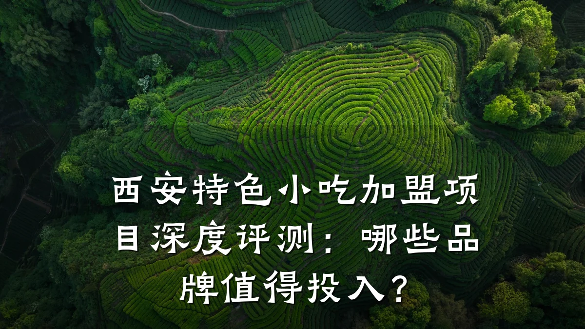西安特色小吃加盟项目深度评测：哪些品牌值得投入？