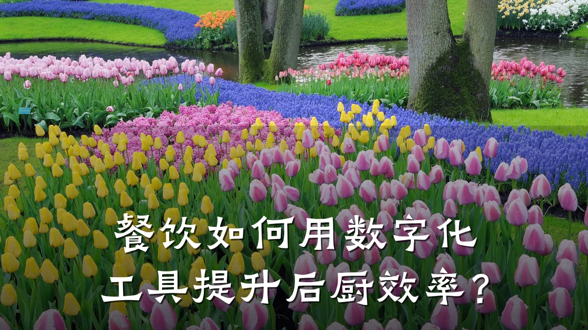 餐饮如何用数字化工具提升后厨效率?