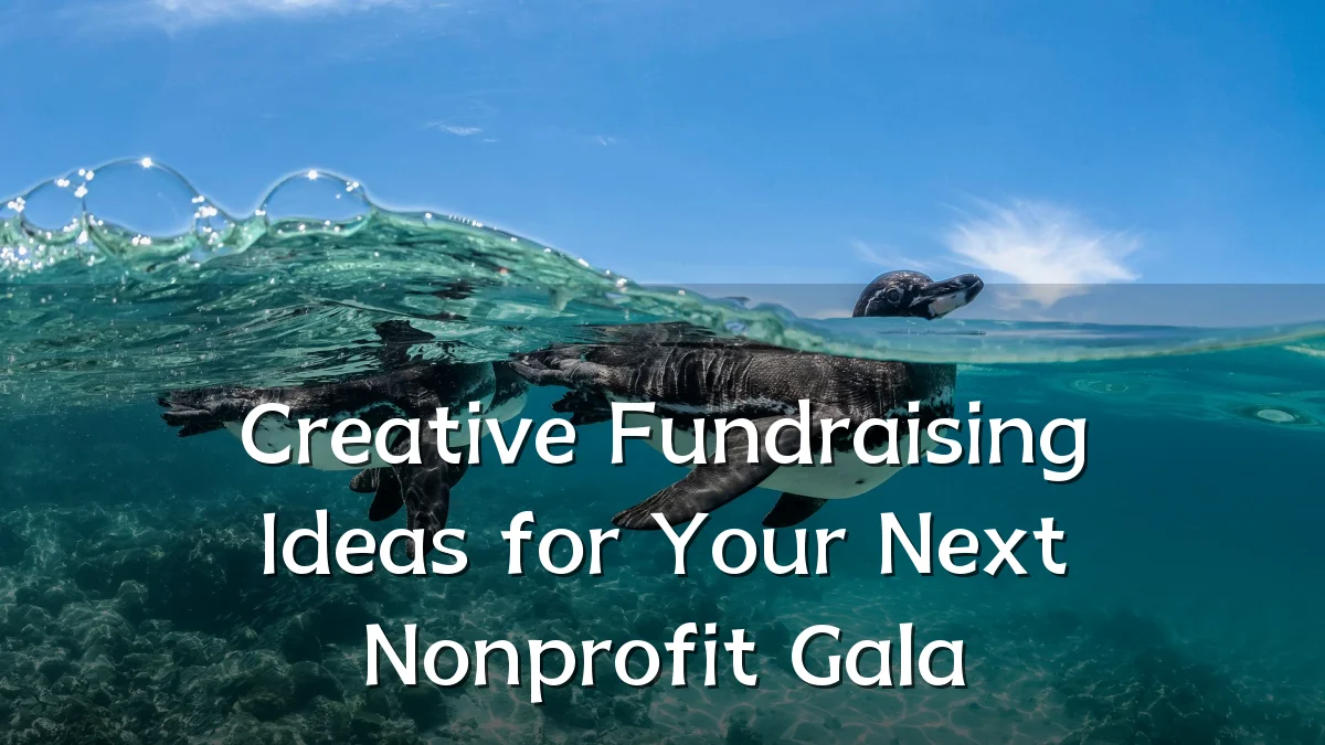 Creative Fundraising Ideas for Your Next Nonprofit Gala