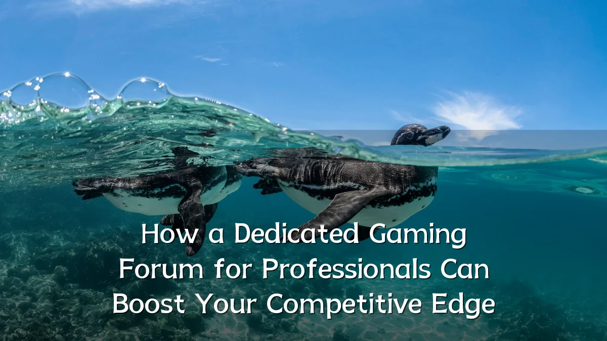 How a Dedicated Gaming Forum for Professionals Can Boost Your Competitive Edge