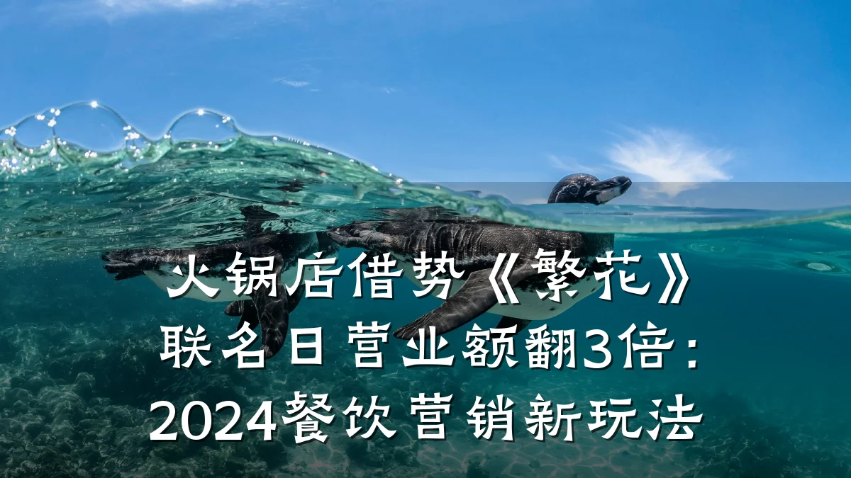 火锅店借势《繁花》联名日营业额翻3倍：2024餐饮营销新玩法