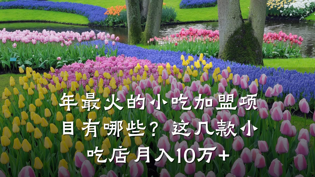 年最火的小吃加盟项目有哪些？这几款小吃店月入10万+