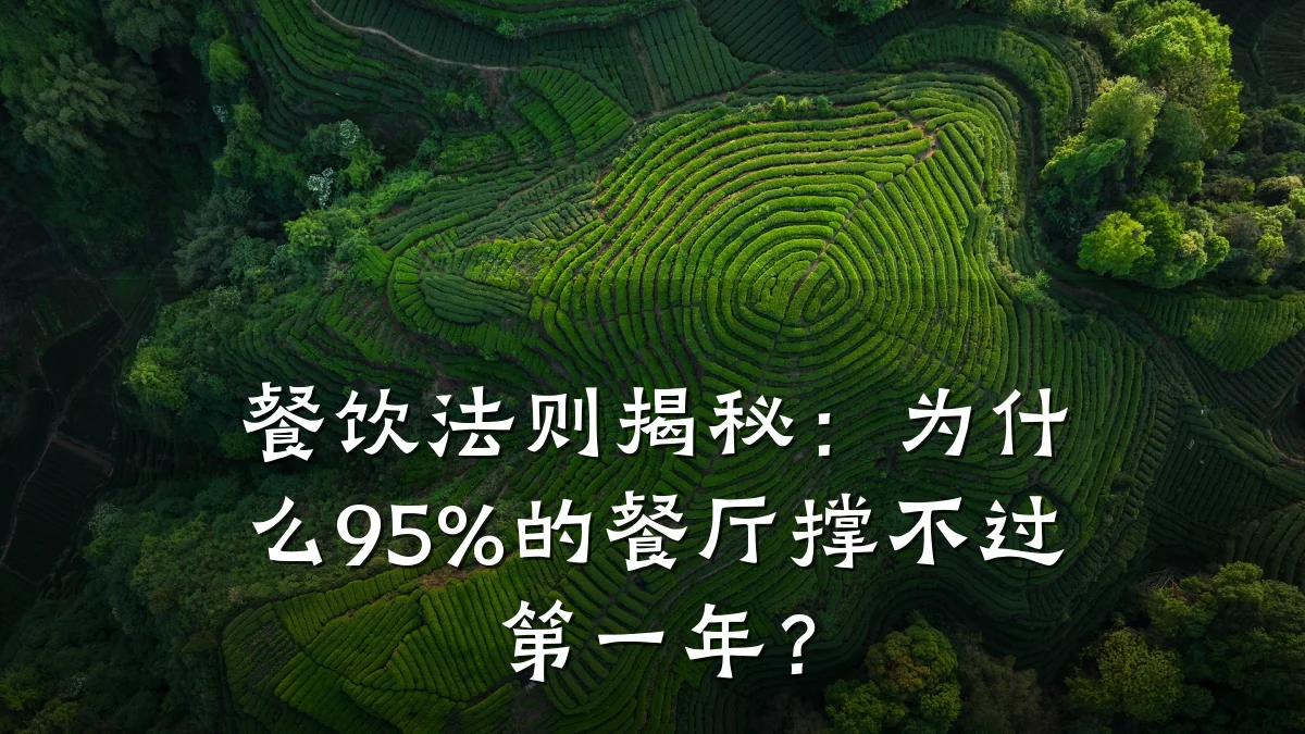 餐饮法则揭秘：为什么95%的餐厅撑不过第一年？