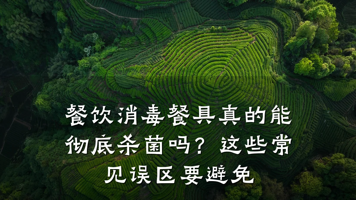 餐饮消毒餐具真的能彻底杀菌吗？这些常见误区要避免