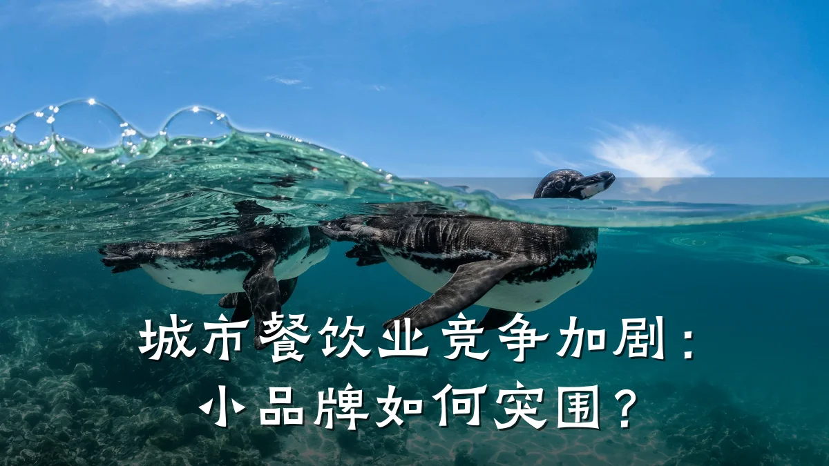 城市餐饮业竞争加剧：小品牌如何突围？