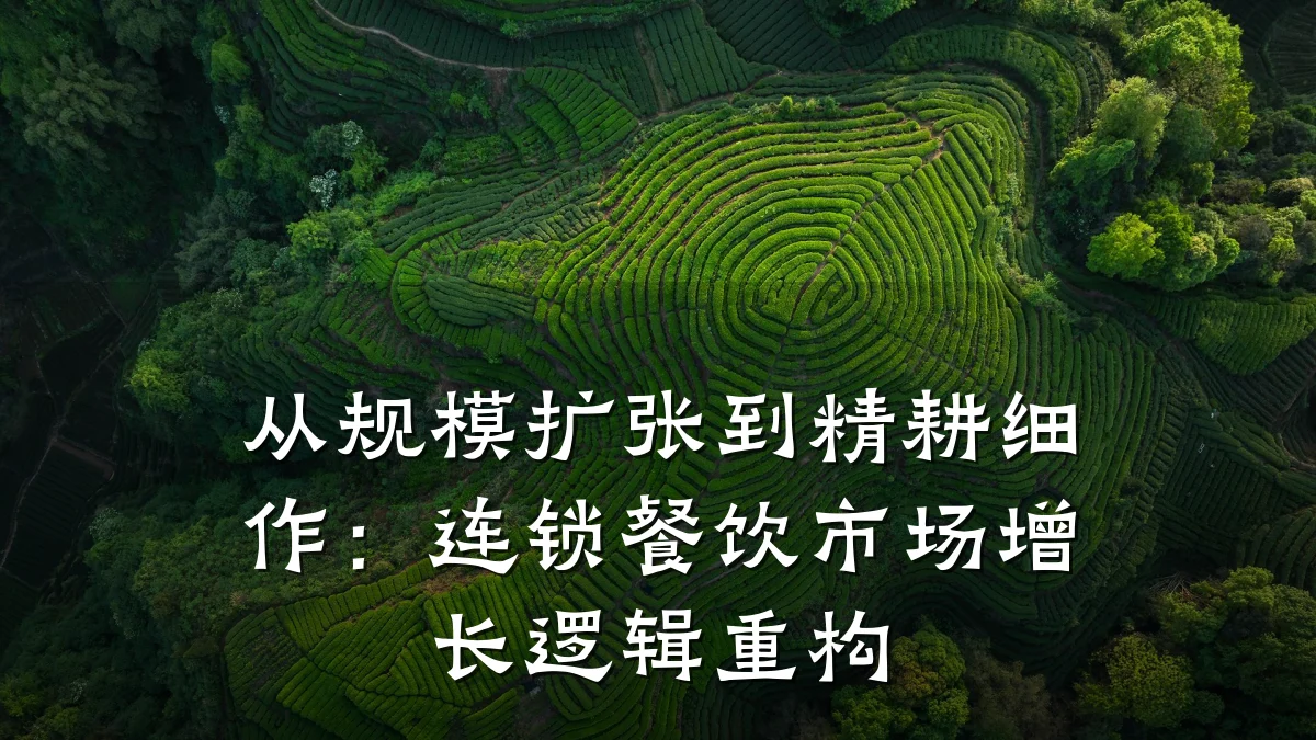 从规模扩张到精耕细作：连锁餐饮市场增长逻辑重构