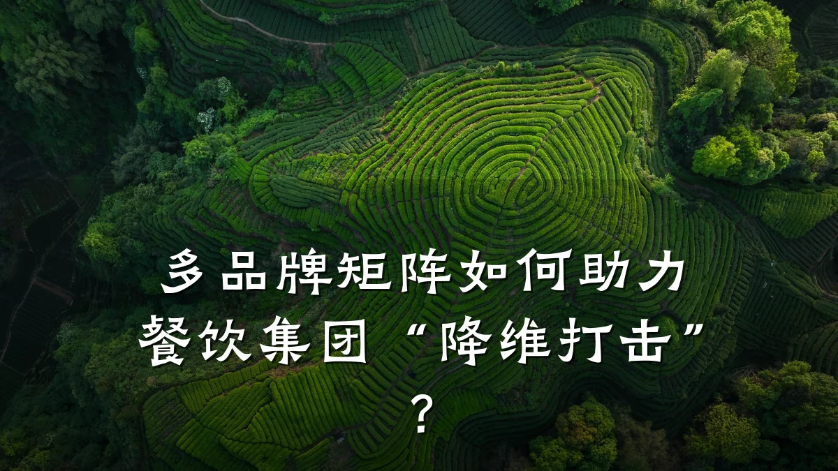 多品牌矩阵如何助力餐饮集团“降维打击”？