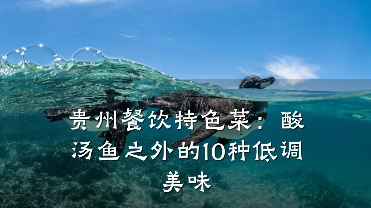 贵州餐饮特色菜：酸汤鱼之外的10种低调美味