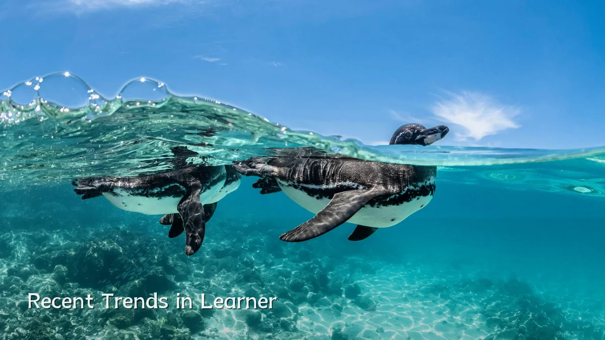 Recent Trends in Learner