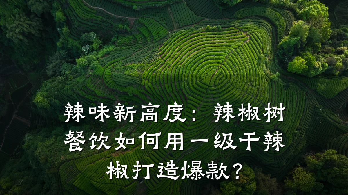 辣味新高度：辣椒树餐饮如何用一级干辣椒打造爆款？