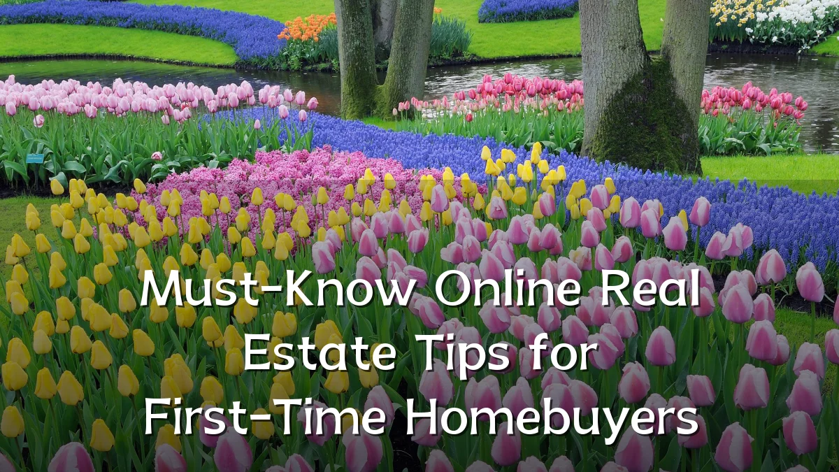 Must-Know Online Real Estate Tips for First-Time Homebuyers