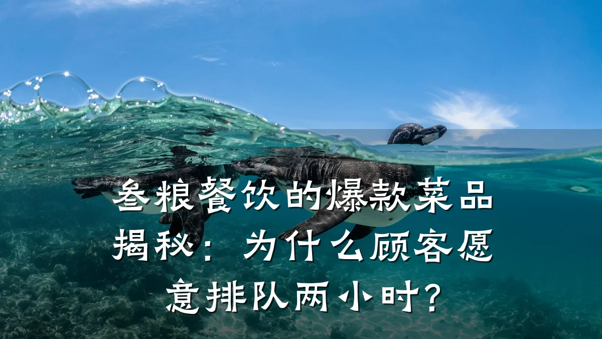 叁粮餐饮的爆款菜品揭秘：为什么顾客愿意排队两小时？