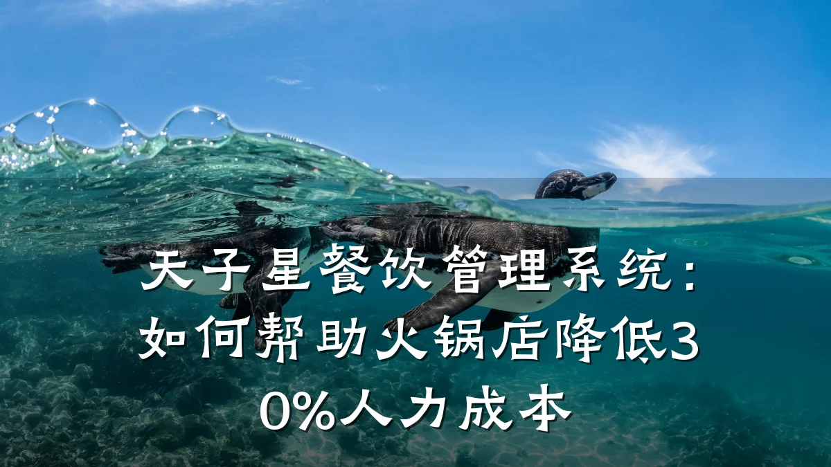 天子星餐饮管理系统：如何帮助火锅店降低30%人力成本