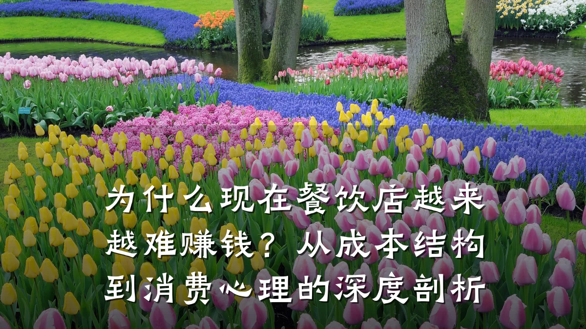 为什么现在餐饮店越来越难赚钱？从成本结构到消费心理的深度剖析