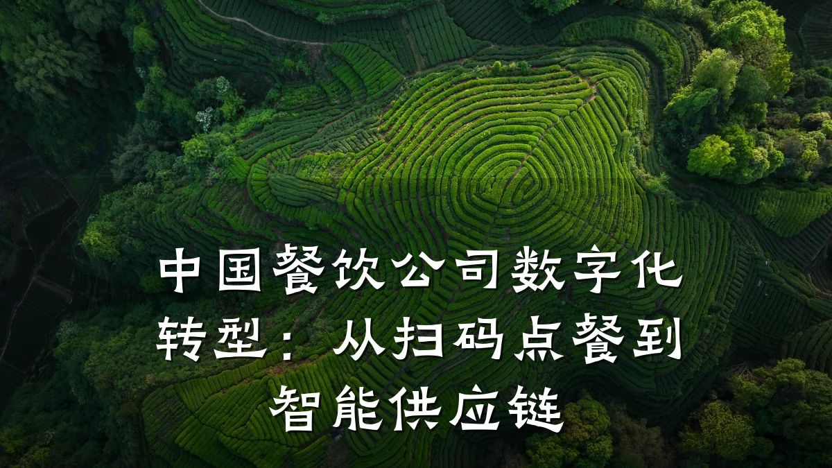 中国餐饮公司数字化转型：从扫码点餐到智能供应链