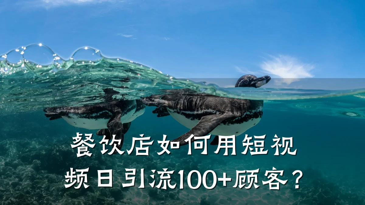 餐饮店如何用短视频日引流100+顾客？