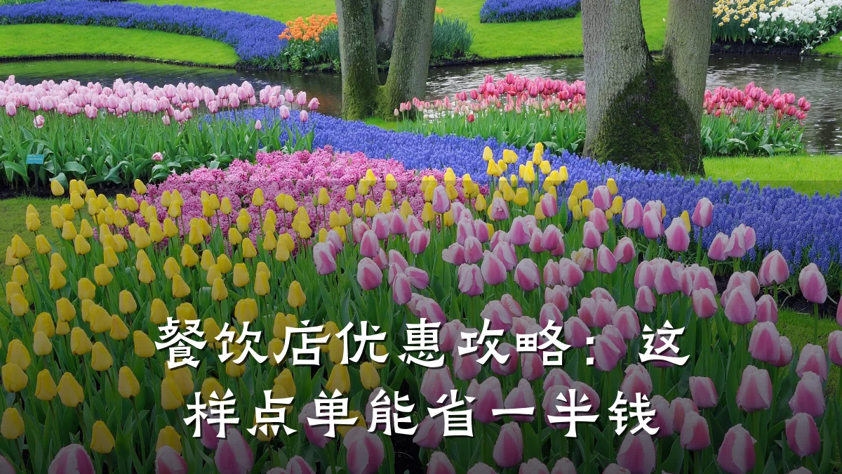 餐饮店优惠攻略：这样点单能省一半钱