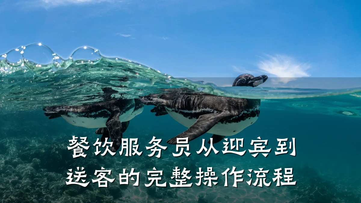 餐饮服务员从迎宾到送客的完整操作流程