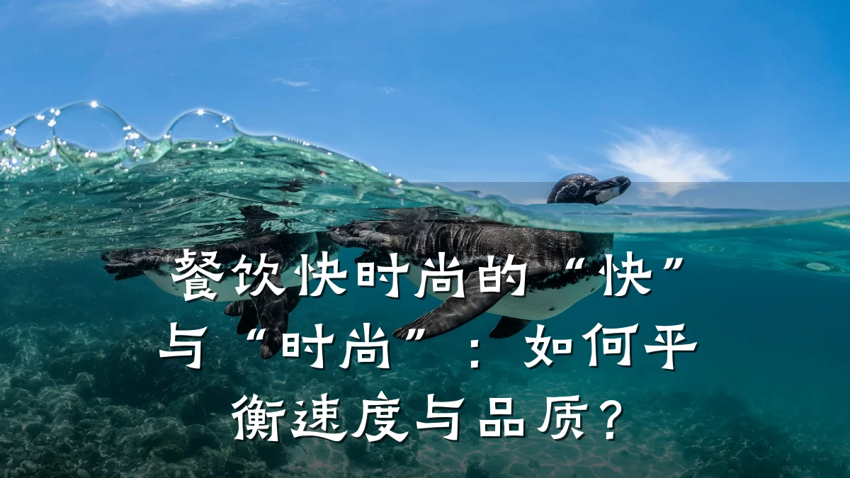 餐饮快时尚的“快”与“时尚”：如何平衡速度与品质？