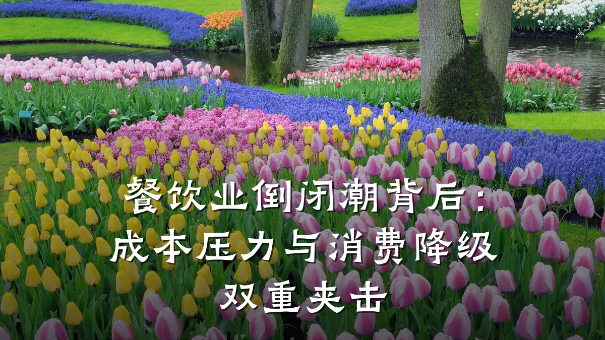 餐饮业倒闭潮背后:成本压力与消费降级双重夹击