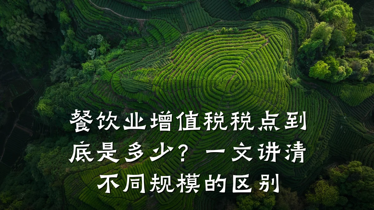餐饮业增值税税点到底是多少？一文讲清不同规模的区别
