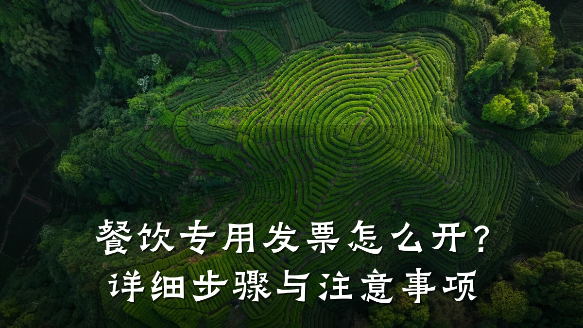 餐饮专用发票怎么开？详细步骤与注意事项