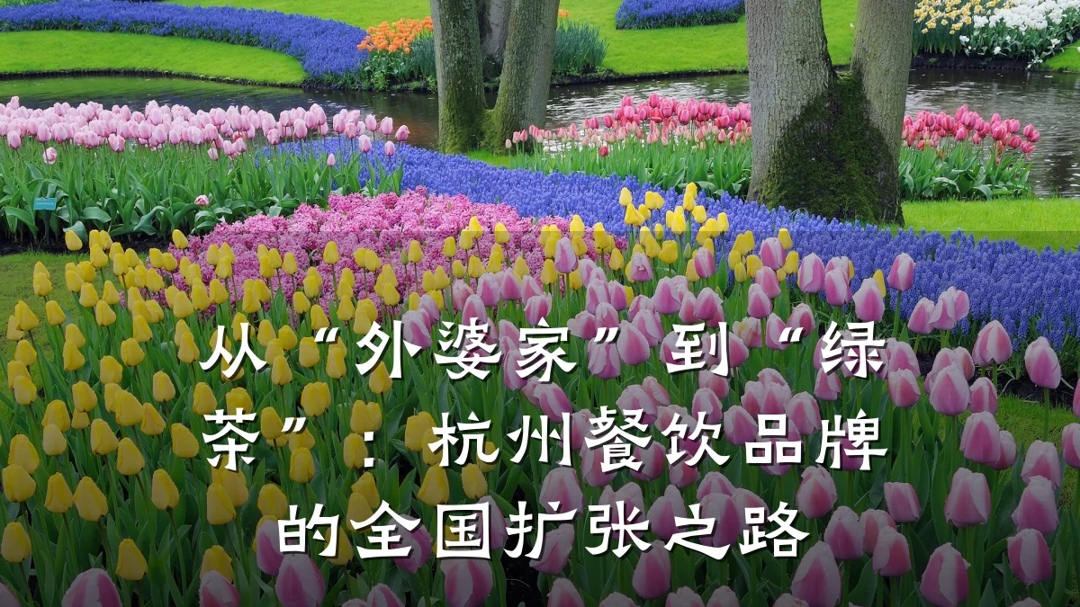 从“外婆家”到“绿茶”：杭州餐饮品牌的全国扩张之路