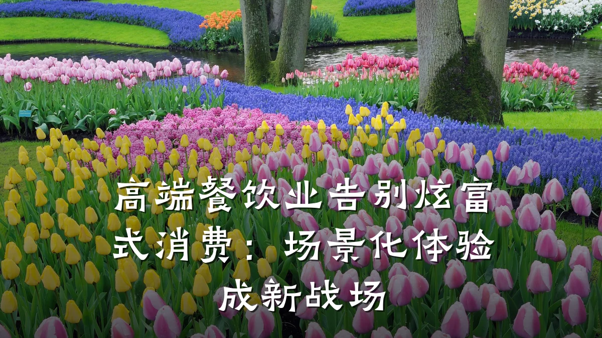 高端餐饮业告别炫富式消费：场景化体验成新战场