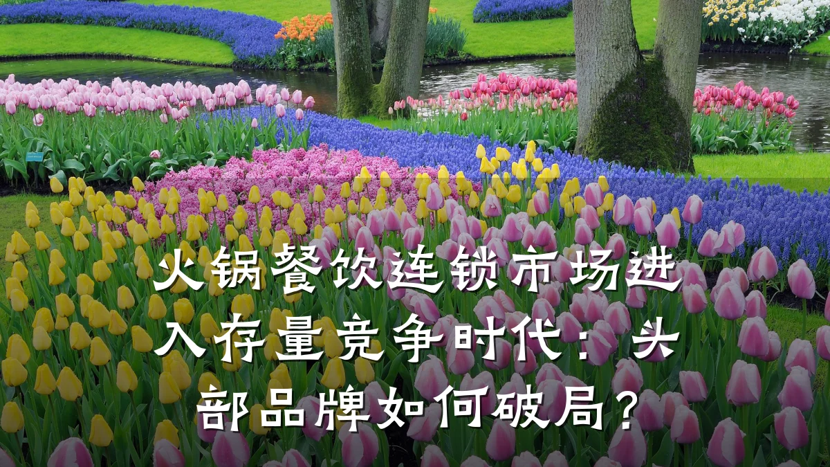 火锅餐饮连锁市场进入存量竞争时代：头部品牌如何破局？