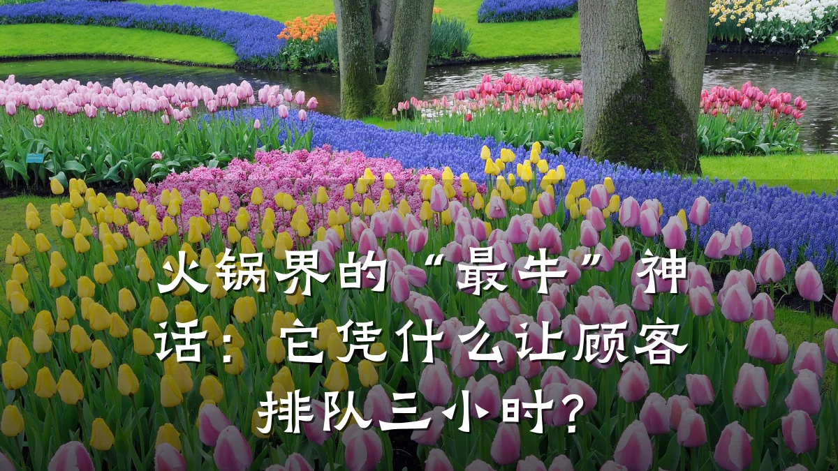 火锅界的“最牛”神话：它凭什么让顾客排队三小时？