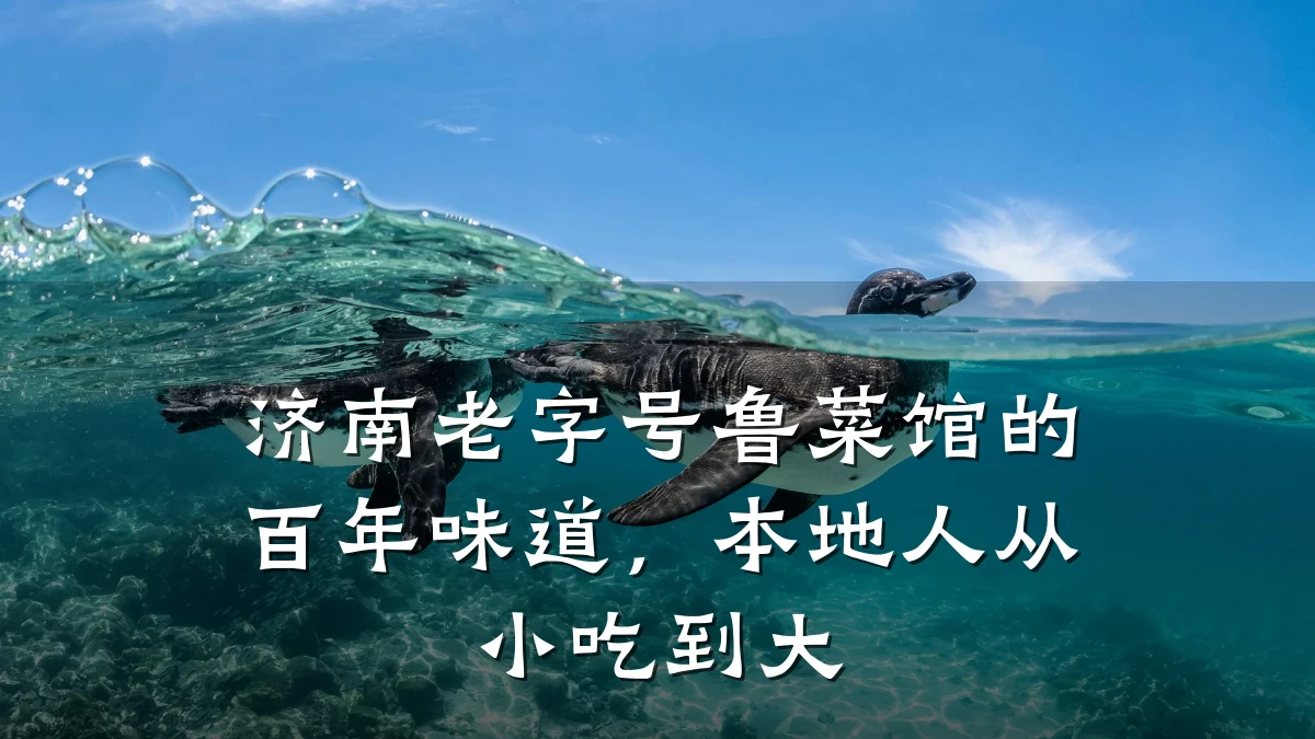 济南老字号鲁菜馆的百年味道，本地人从小吃到大