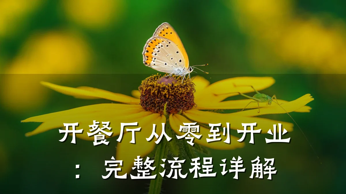 开餐厅从零到开业：完整流程详解