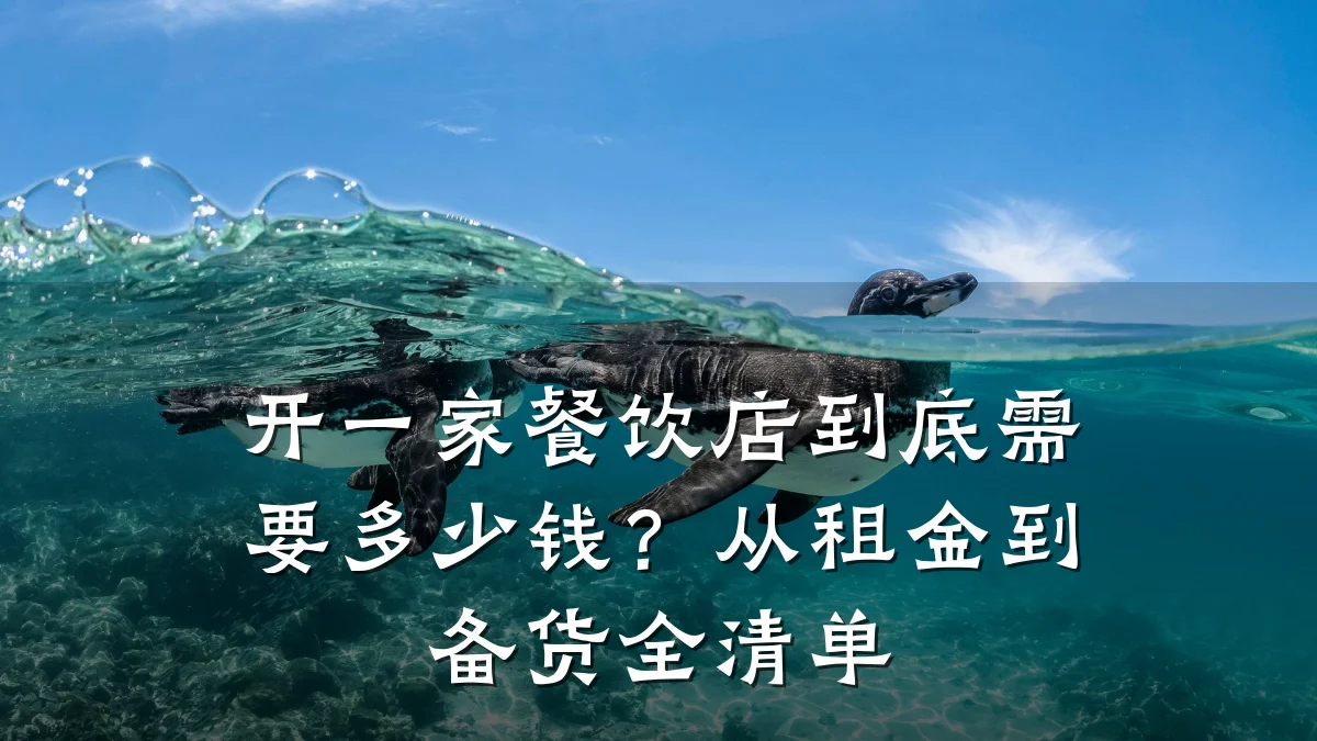 开一家餐饮店到底需要多少钱?从租金到备货全清单