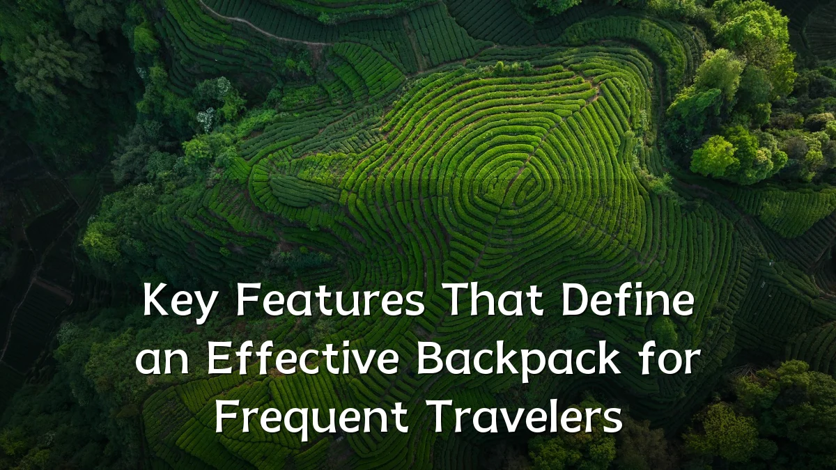 Key Features That Define an Effective Backpack for Frequent Travelers