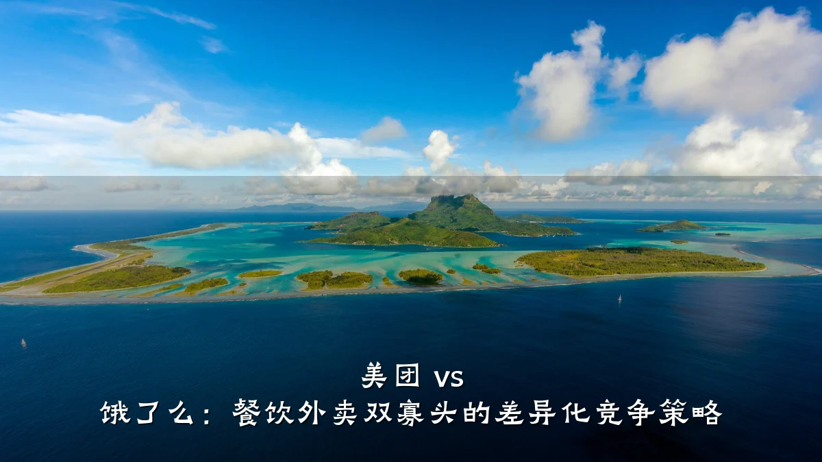 美团 vs 饿了么:餐饮外卖双寡头的差异化竞争策略