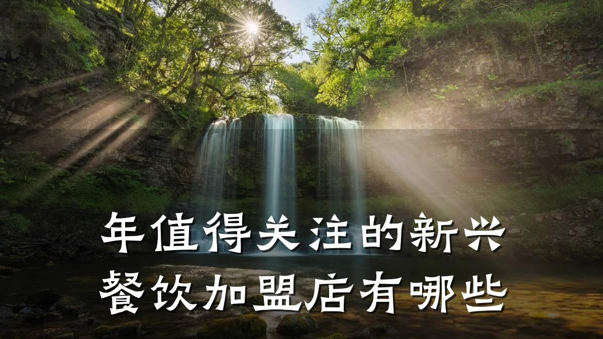 年值得关注的新兴餐饮加盟店有哪些